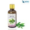BLS shop banleso1.net Giá mua bán tinh dầu Trà Xanh nguyên chất lam hà giá rẻ tại hà nội sài gòn tphcm thành phố hồ chí minh; gia mua ban tinh dau Tra Xanh nguyen chat lam ha gia re tai ha noi sai gon tphcm thanh pho ho chi minh; Nơi bán địa chỉ mua bán uy tín tinh dầu Trà Xanh nguyên chất lam hà giá rẻ tại hà nội sài gòn tphcm thành phố hồ chí minh; noi ban dia chi mua ban uy tin tinh dau Tra Xanh nguyen chat lam ha gia re tai ha noi sai gon tphcm thanh pho ho chi minh; Công dụng tác dụng cách sử dụng tinh dầu Trà Xanh nguyên chất lam hà; cong dung tac dung cach su dung tinh dau Tra Xanh nguyen chat lam ha Địa chỉ mua ở đâu bán ở đâu Tinh dầu nguyên chất 100% tinh dầu thiên nhiên nguyên chất tinh dầu việt nam nguyên chất 100%; Dia chi mua o dau ban o dau tinh dau nguyen chat 100% tinh dau thien nhien nguyen chat tinh dau viet nam nguyen chat 100%; Tinh dầu đuổi muỗi tinh dầu chống muõi tinh dầu chống côn trùng tinh dầu đuổi côn trùng tinh dầu trị cảm cúm Tinh dầu nguyên chất, Tinh dầu Lam Hà, Tinh dầu Việt Nam