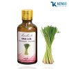 BLS shop BLS shop Giá mua bán tinh dầu Sả Chanh nguyên chất lam hà giá rẻ tại hà nội sài gòn tphcm thành phố hồ chí minh; gia mua ban tinh dau Sa Chanh nguyen chat lam ha gia re tai ha noi sai gon tphcm thanh pho ho chi minh; Nơi bán địa chỉ mua bán uy tín tinh dầu Sả Chanh nguyên chất lam hà giá rẻ tại hà nội sài gòn tphcm thành phố hồ chí minh; noi ban dia chi mua ban uy tin tinh dau Sa Chanh nguyen chat lam ha gia re tai ha noi sai gon tphcm thanh pho ho chi minh; Công dụng tác dụng cách sử dụng tinh dầu Sả Chanh nguyên chất lam hà; cong dung tac dung cach su dung tinh dau Sa Chanh nguyen chat lam ha Địa chỉ mua ở đâu bán ở đâu Tinh dầu nguyên chất 100% tinh dầu thiên nhiên nguyên chất tinh dầu việt nam nguyên chất 100%; Dia chi mua o dau ban o dau tinh dau nguyen chat 100% tinh dau thien nhien nguyen chat tinh dau viet nam nguyen chat 100%; Tinh dầu đuổi muỗi tinh dầu chống muõi tinh dầu chống côn trùng tinh dầu đuổi côn trùng tinh dầu trị cảm cúm Tinh dầu nguyên chất, Tinh dầu Lam Hà, Tinh dầu Việt Nam